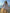 Lockere Damen Bluse Oversized Baumwolle Casual – Laura