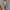 Langer Damen Cardigan mit elegantem Schnitt – Seraphia