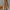Langer Damen Cardigan mit elegantem Schnitt – Seraphia