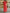 Kleid Hose Set Damen Elegant Locker Stil – Nora