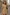 Elegantes Damenkleid mit zeitloser Silhouette – Amira