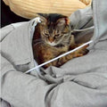 Kuscheliger Katzen-Hoodie mit integriertem Schlafplatz – PurrNest