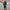 XL-Wollschal mit Leopardenmuster – warm & stylisch – Alessia