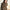 XL-Wollschal mit Leopardenmuster – warm & stylisch – Alessia