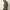 XL-Wollschal mit Leopardenmuster – warm & stylisch – Alessia
