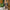 XL-Wollschal mit Leopardenmuster – warm & stylisch – Alessia