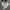 Bequeme Damen-Sneaker mit zeitlosem Design – Sofia