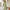 Sommer Midi Kleid mit Print aus Baumwolle – Lina