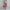 Sommerkleid Damen Leicht Bedruckt Casual – Ronja