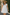 Besticktes Damen-Sommerkleid mit luftiger Passform – Emilia