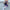 Bequeme & Stylische Leggings für Damen – Alina