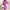 Schickes geblümtes Minikleid für Damen – Anna