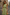 Ärmelloses Damenkleid für den Sommer – Elena
