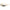 Punk Sonnenbrille UV400 Schutz Quadrat-Design – Leon