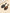 Holz Tropfen Ohrringe Boho Chic Schmuck – Lena