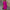 Elegantes Sommerkleid für Damen – Sophia
