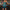 Elegantes Pailletten-Cocktailkleid mit Federbesatz – Valeria