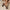 Bequeme Damen Sandalen mit Stability+ Ferse – Elenara