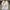 V-Ausschnitt Bluse Damen Locker Luftig Chiffon – Anna
