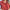 Damen Bluse Lässig Formell Langarm Look – Anna