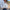 Damen Bluse Lässig Formell Langarm Look – Anna