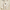 Damen Strick-Set Rollkragenpullover Weste Baumwolle Elegant Warm - Emilia