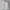Herren Jeanshemd Denim Langarm Fransen Look – Renford