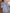 Gestreifte Damenbluse mit klassischem Komfort – Brianys