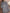 Gestreifte Damenbluse mit klassischem Komfort – Brianys