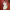 Damen-Karojacke mit klassischem Design – Clara